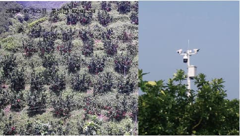 老米智能 成就客户 顺丰集团